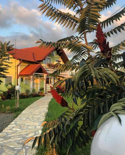 Grabovac House | House Antonia