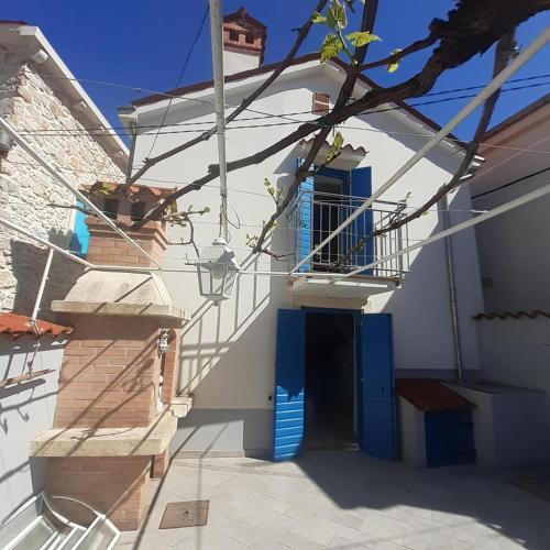 Susak House | House Rozalia