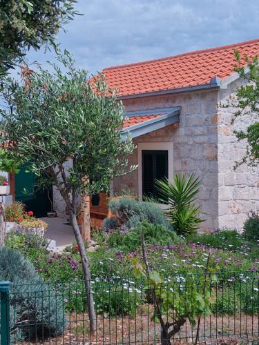 Drvenik Mali House | Kuća za odmor Maruška