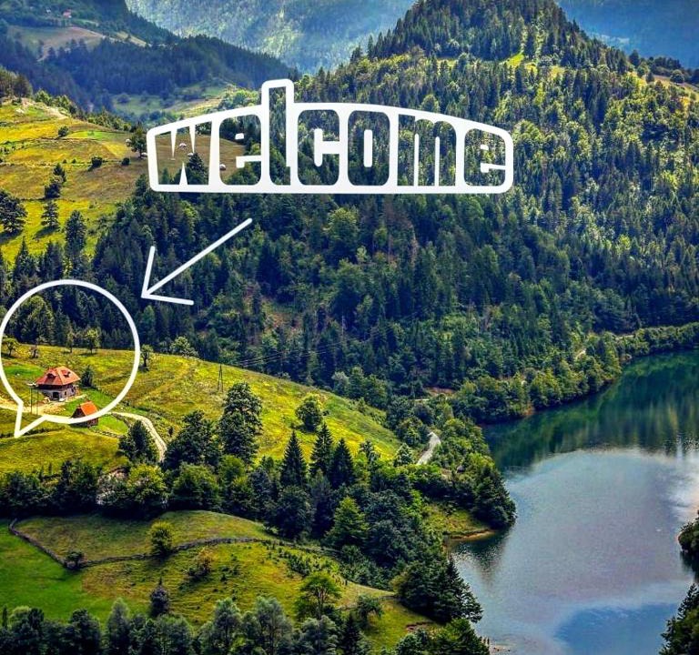Bajina Basta Villa | Ljubičin Konak