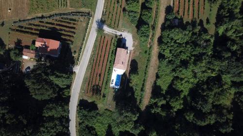 Snasici Villa | Luka