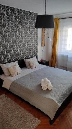 Miercurea-Ciuc Apartment | Nexus