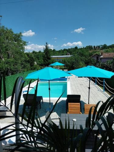 Petrovaradin Villa | Olive garden house