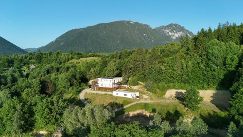 Zarnesti Villa | Panoramic Paradise Villa I - Sauna & Pool