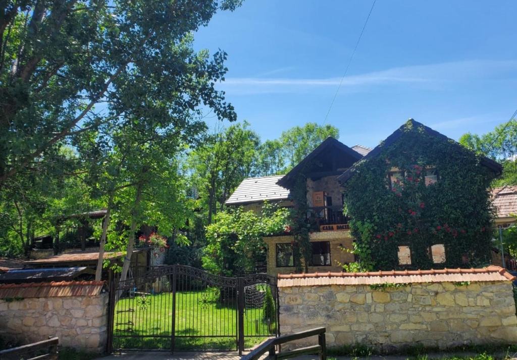 Podeni House | Pensiunea Casa Dacilor