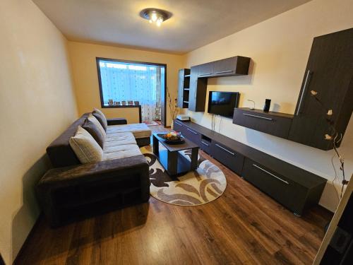 Petrosani Apartment | Perfect home Ground floor