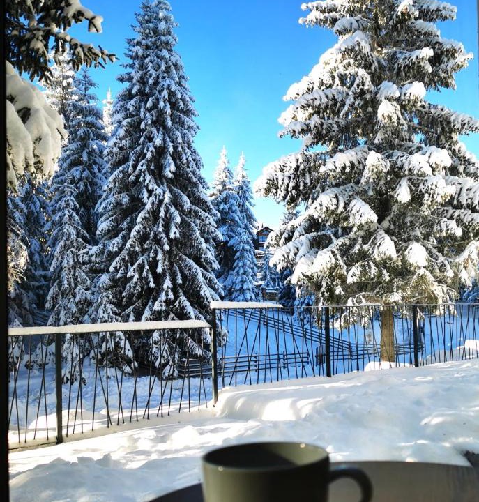 Kasidoli Apartment | PineTree Jahorina