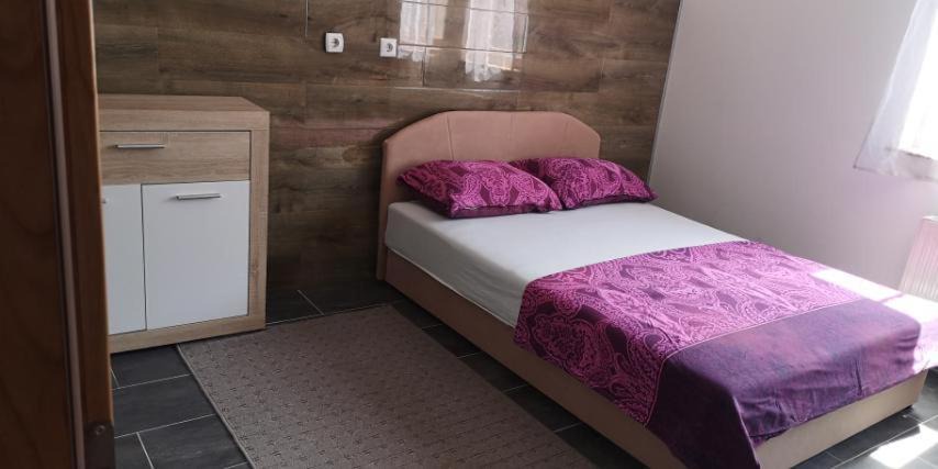 Novi Grad Apartment | River Villa