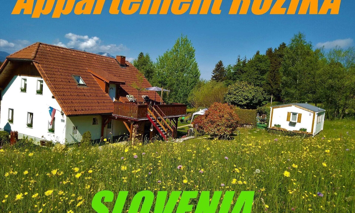 Slovenj Gradec House | Rozika Apartment
