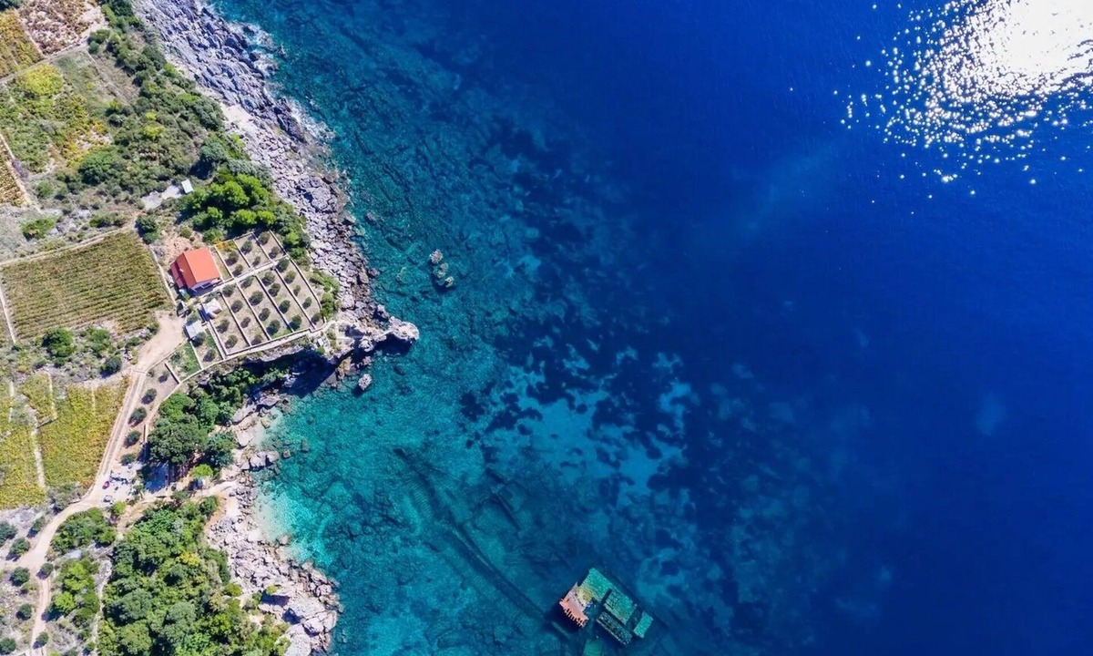 Postup House | Seaside house for families with children Postup, Pelješac (K-20849)