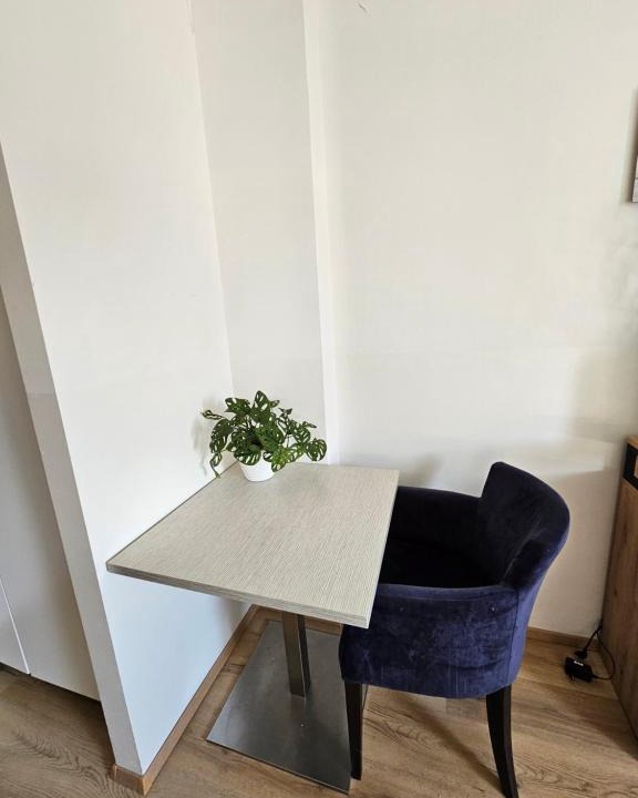 Maribor Apartment | soba v Pekrski vili