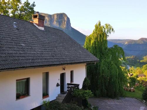 Bohinjska Bela Apartment | Spacious apartment