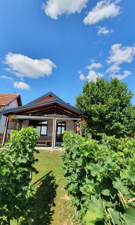 Kraljevec Sesvetski House | Studio apartman PIK