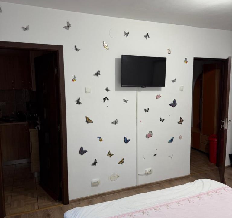 Drobeta-Turnu Severin Apartment | Studio