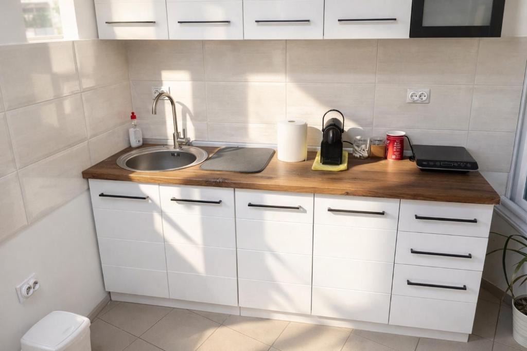 Leskovac Apartment | Studio SAN