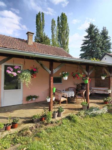 Vrdnik Apartment | Tamara