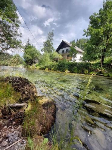 Gorje Hostel | The RiverSide Chill Hostel
