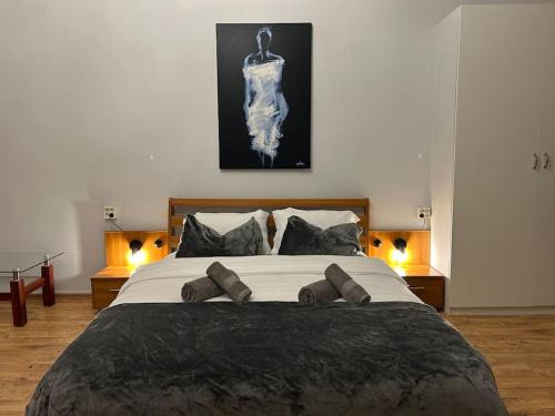 Brasov City Centre Apartment | The Stag Brasov old town