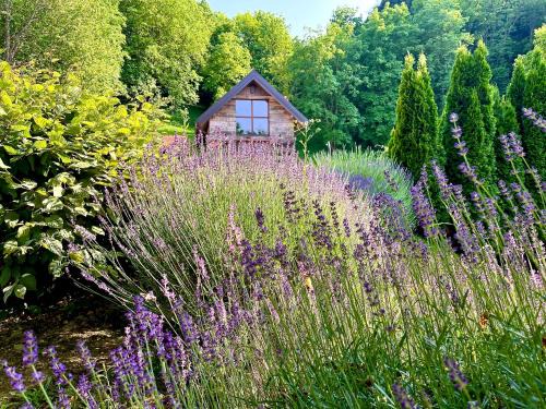 Novi Marof Villa | Vila Countryhouse Pijevci