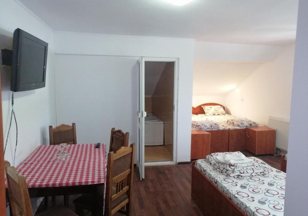 Piatra Neamt House | vila elly