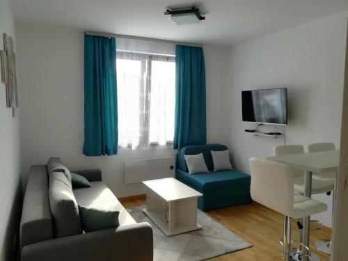 Kopaonik Apartment | Vila Irina - Studio 15 lux