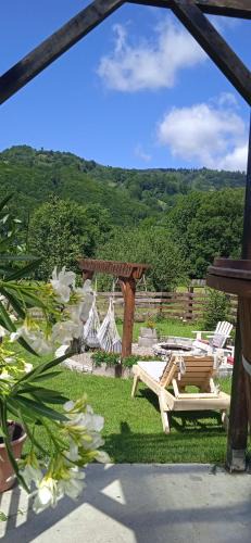 Dragoslavele Villa | Vila Passiflora