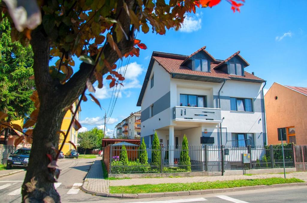 Sighetu Marmatiei House | Vila Roza