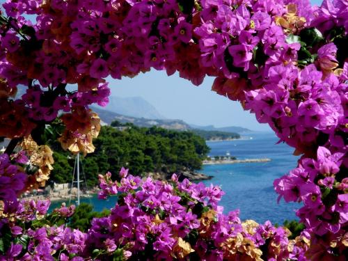 Brela Apartment | Villa BOSE