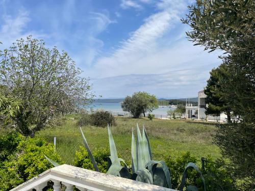 Pasman Apartment | Villa Dea Solis