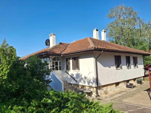 Belgrade Villa | Villa Kameleon
