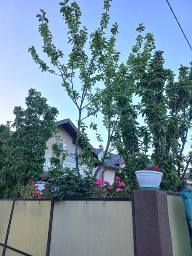 Ilidza Villa | Villa Kasinda
