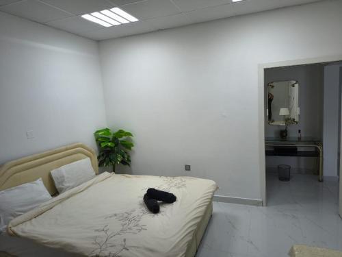 Madinat Zayed House | Villa Laila