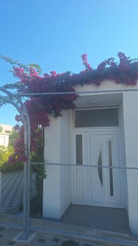 Vir Apartment | Villa Olea