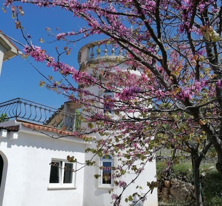 Brovinje Apartment | Villa Rapunzel