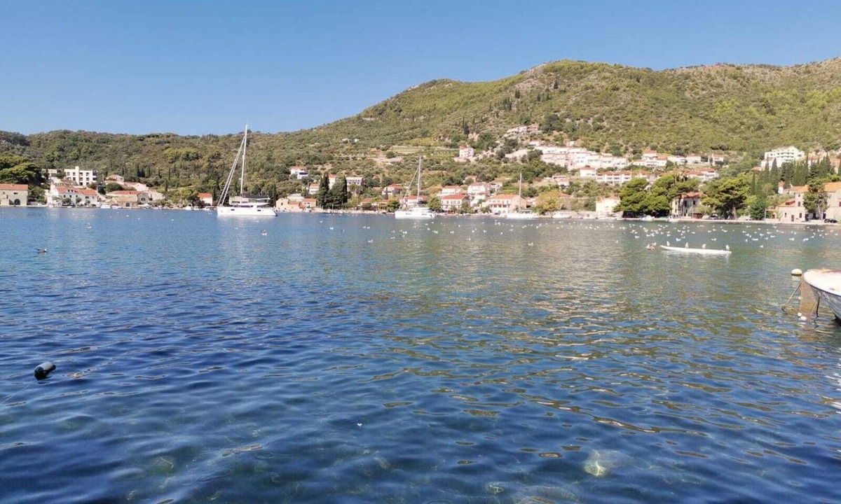 Zaton Villa | Villa TANYA 3 bedrooms house Seconds from the sea near Dubrovnik