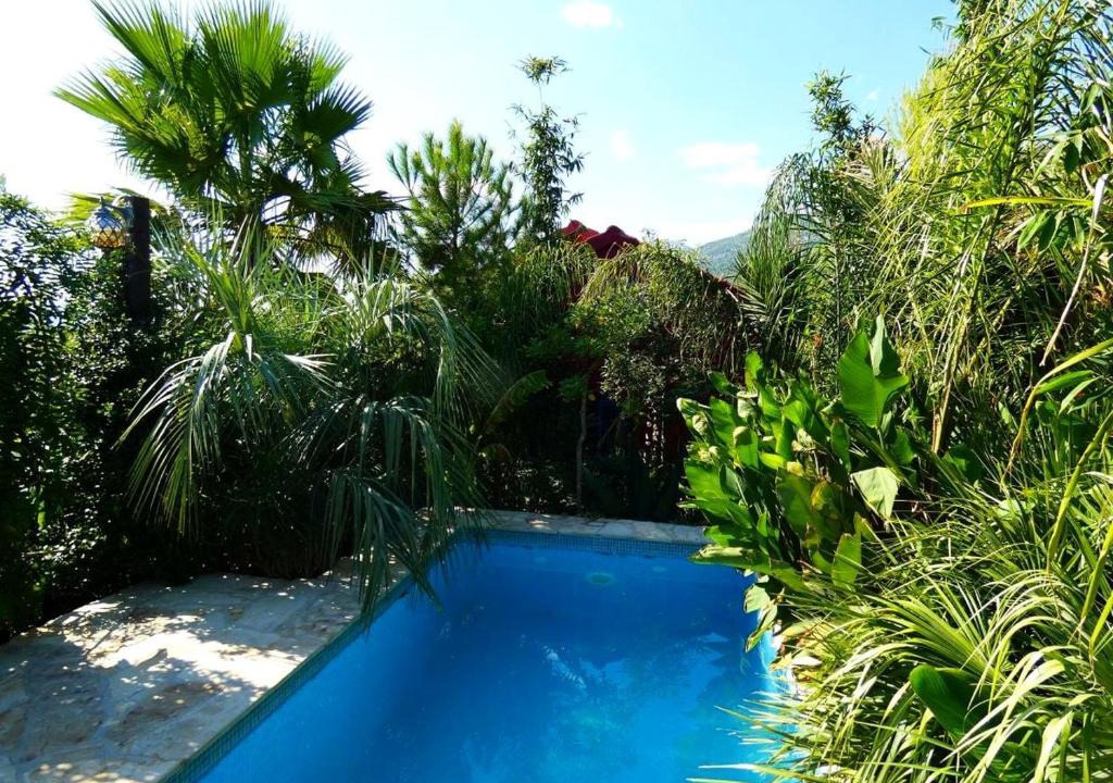 Kastel Kambelovac Villa | Villa Tropica - Secluded Private Pool, Jungle Garden, Soulful Escape near Split & Trogir
