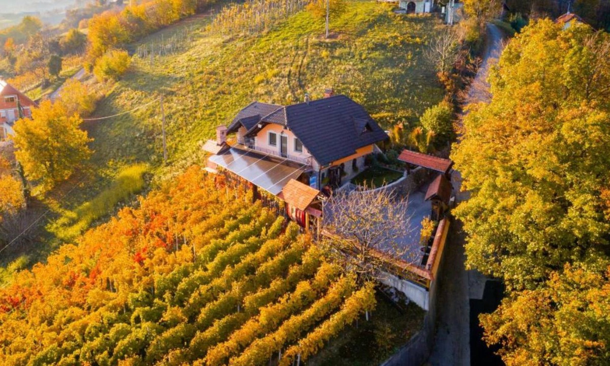 Gorenja Vas pri Smarjeti House | Vineyard Cottage Bregač, Šmarješke Toplice, Slovenia