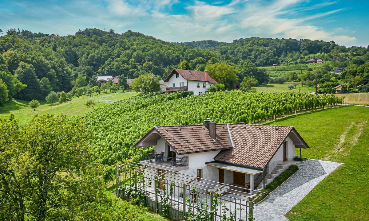 Gorenja Vas pri Smarjeti House | Vineyard Cottage Radovlja With Sauna, Šmarješke Toplice, Slovenia