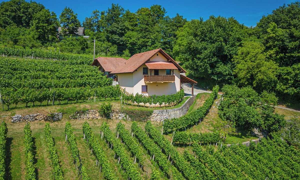 Srednje Grcevje House | Vineyard Cottage Ucman, Otočec, Slovenia