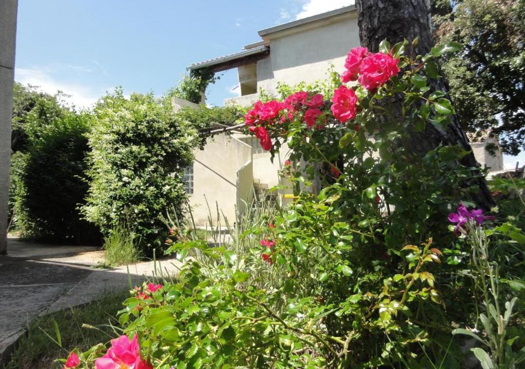 Miholascica Apartment | Vlado