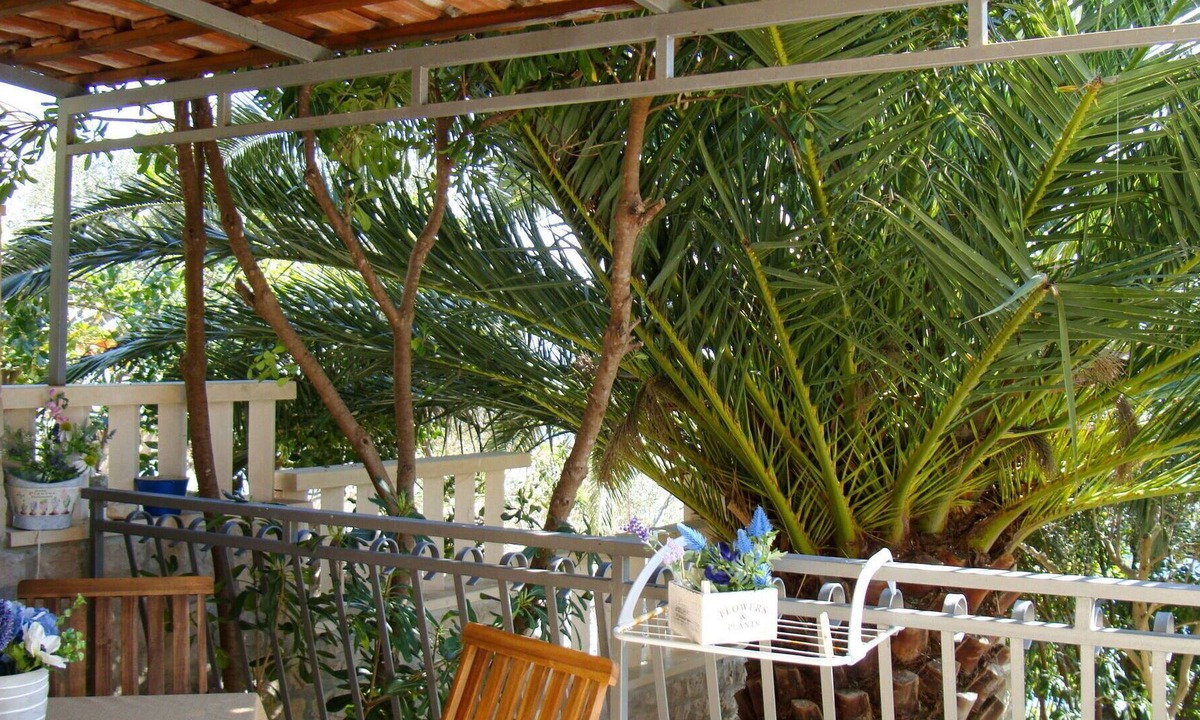Cove Basina (Jelsa) House | Wonderful private villa for 4 people with A/C, WIFI, TV, terrace, pets allowed and parking