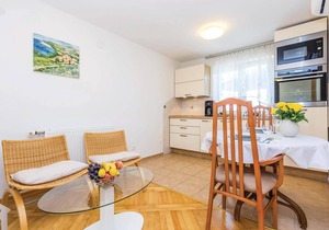 1 bedroom accommodation in Kastav
