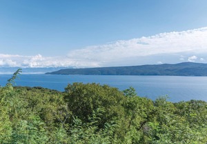 1 bedroom accommodation in Plomin