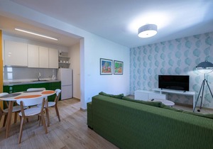 1 bedroom amazing apartment in Ravni