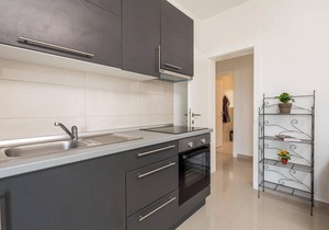 1 bedroom lovely apartment in Vlasici