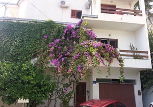 20 m² Apartment ∙ 3 guests