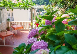 25 m² Studio flat ∙ 2 guests