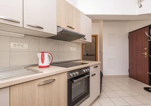 3 bedroom gorgeous apartment in Kastav