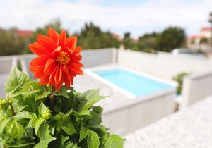 35 m² Apartment ∙ 1 bedroom ∙ 4 guests