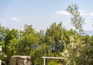 35 m² Apartment ∙ 1 bedroom ∙ 4 guests